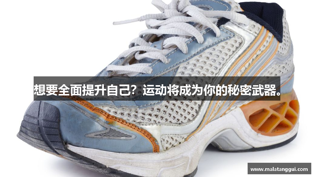 球速体育